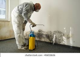 Professional Mold Prevention & Removal  in Merrick, NY